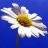 Berilegalekb