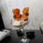 lord_577